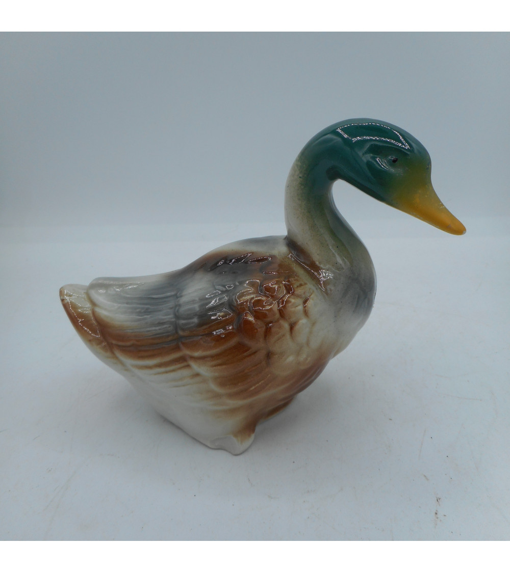 Statut Canard Colvert