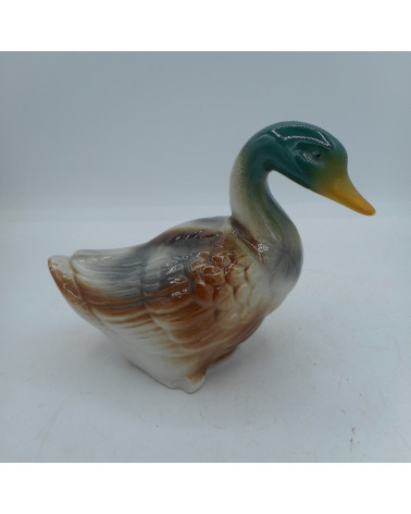 Statut Canard Colvert